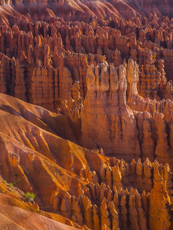 Hoodoos at Bryce