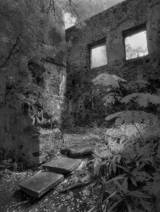 Sugar-Mill-Ruins