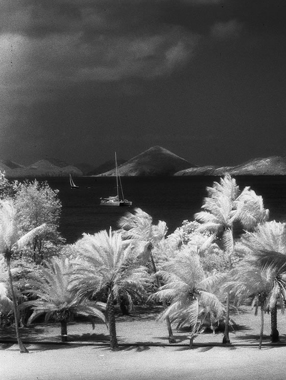 Caneel Bay