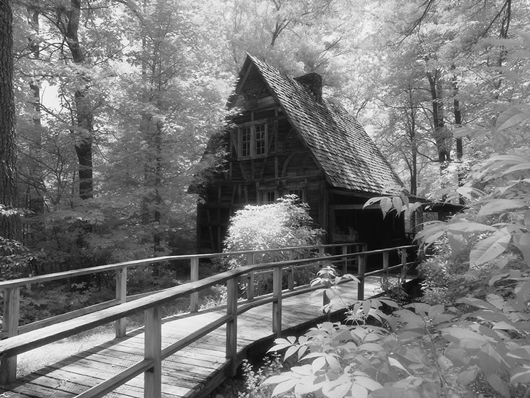 Cradle-of-Forestry