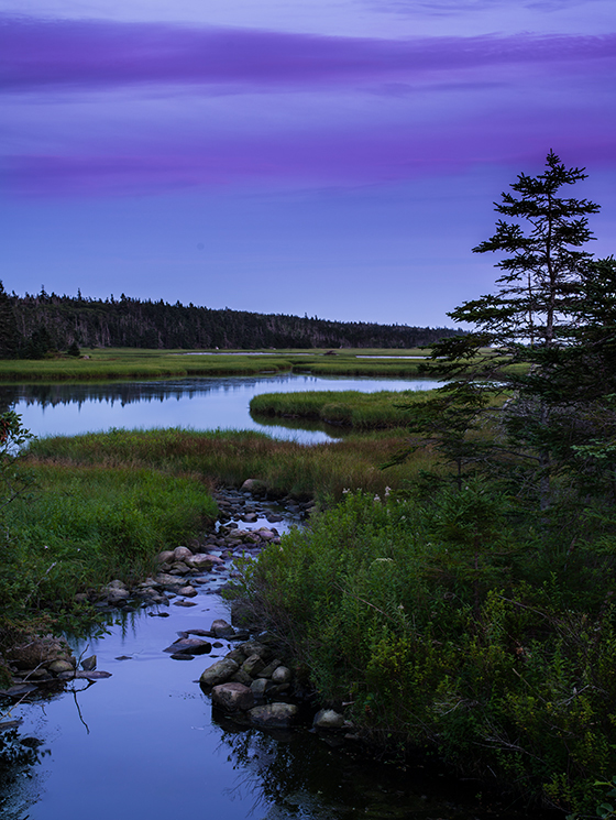 Clam Harbor Marsh