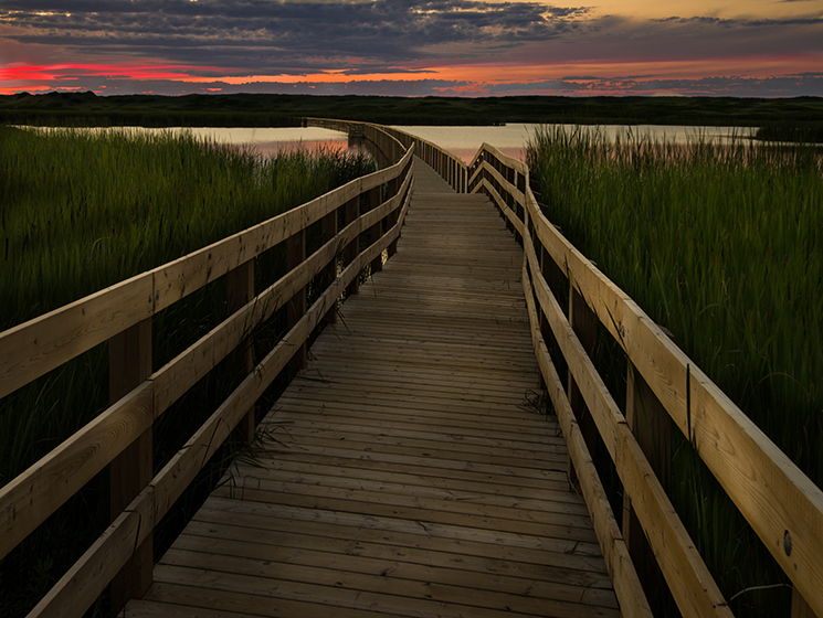 Greenwich Dunes Trail