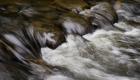 River Rock and Water Abstract