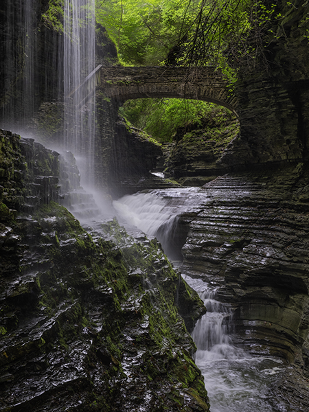 Watkins Glen