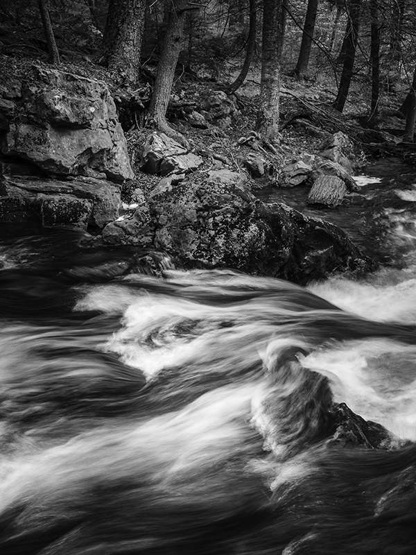 Rapids Motion